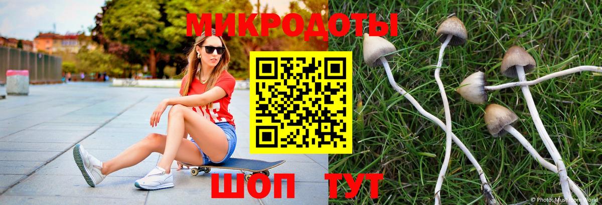 где купить наркоту  Псилоцибиновые грибы мицелий  Вход с VPN  Уссурийск 